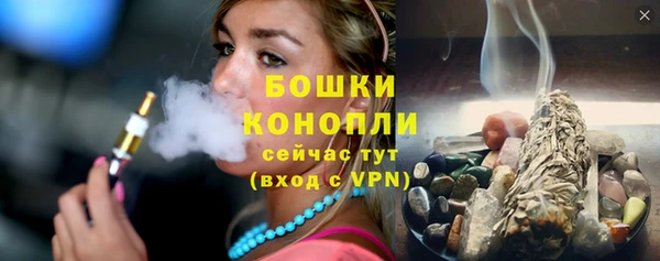 дурь Заводоуковск