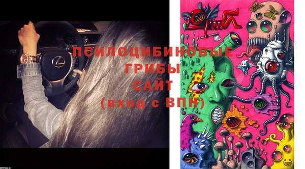 дурь Заводоуковск