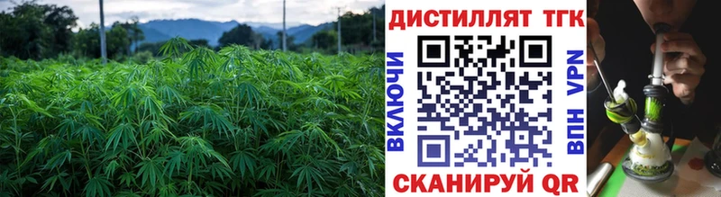 Дистиллят ТГК концентрат Купить где Ивантеевка