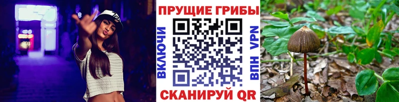 Псилоцибиновые грибы мицелий  Купить закладки  Ивантеевка 